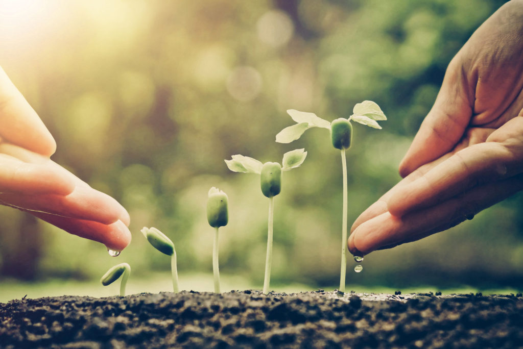 terapia-congitivo-comportamentale